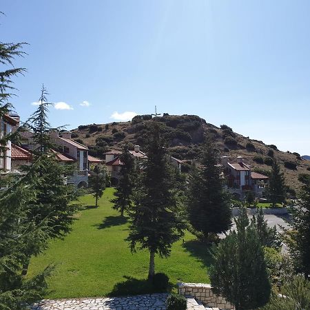 Lafky Arachova Residence Εξωτερικό φωτογραφία
